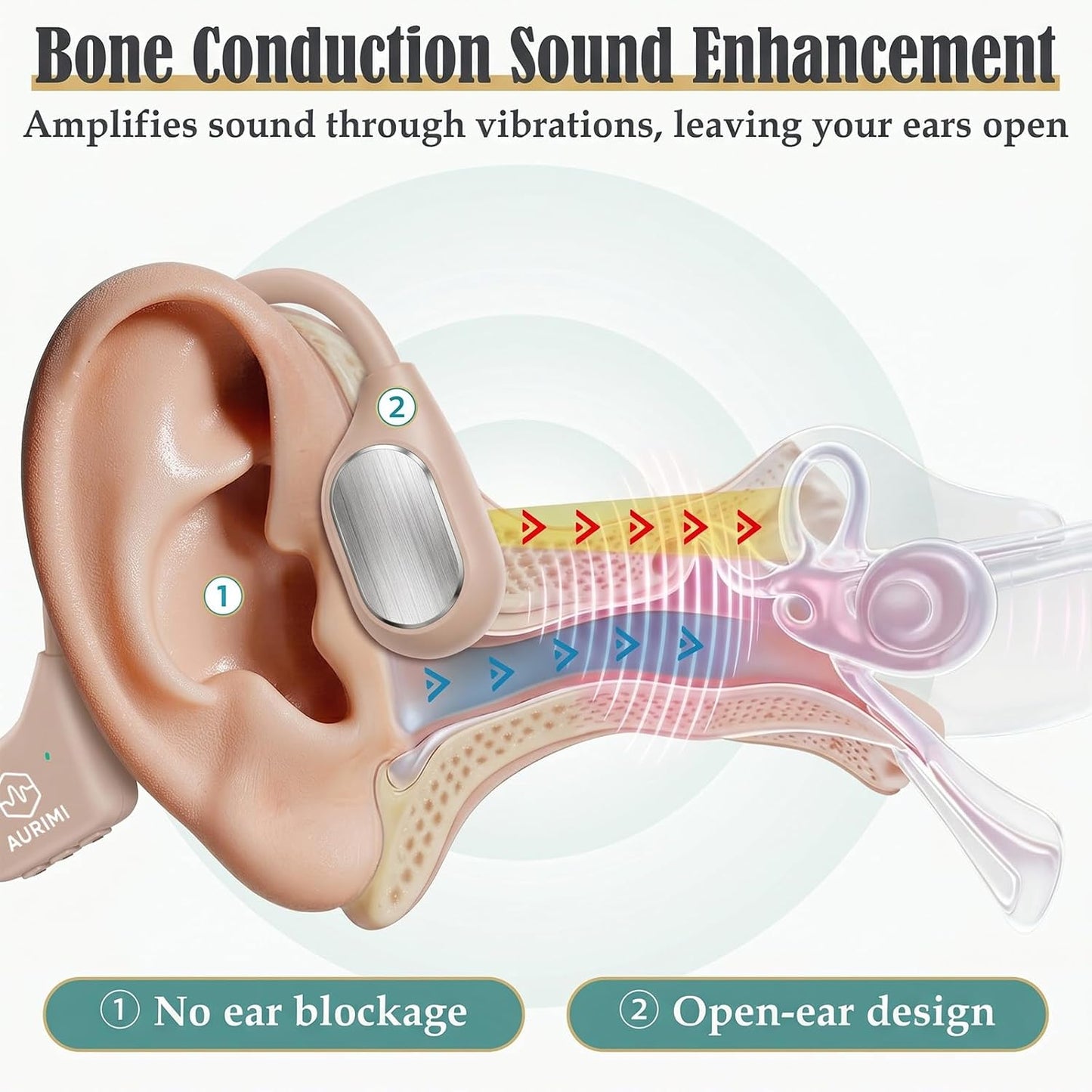 Aurimi® Z18 Bone Conduction Personal Sound Amplifier（Standard Version）